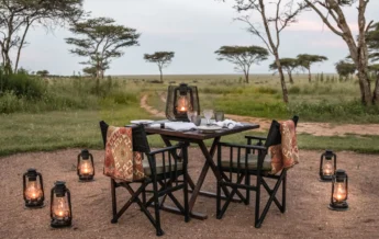 Outdoor dining, Nyasi Migrational Camp, Tanzania