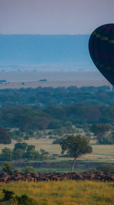 Hot Air Balloon, Esirai Camp, Serengeri NP, Tanzania