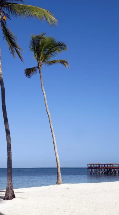 04 The Beach