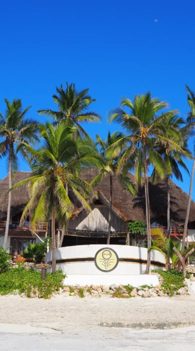 Asili House from the beach