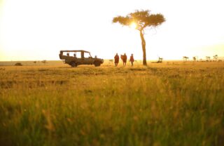 The setting sun highlights the profile of safari vehicle and three people under the acacia tree, Mara Conservancy, Kenya - Yellow Zebra Safaris