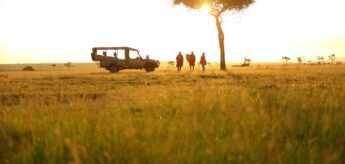 The setting sun highlights the profile of safari vehicle and three people under the acacia tree, Mara Conservancy, Kenya - Yellow Zebra Safaris