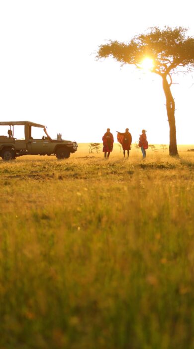 The setting sun highlights the profile of safari vehicle and three people under the acacia tree, Mara Conservancy, Kenya - Yellow Zebra Safaris