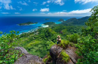 Aerial view of verdant forests ending at the ocean, Seychelles - Yellow Zebra Safaris