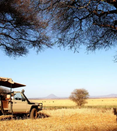Game drive in Tarangire National Park, Tanzania