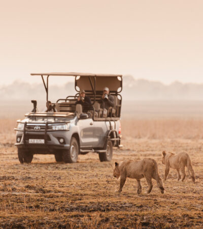 Safari truck watches two hyenas approach, Wilderness Busanga Bush Camp, Kafue, Zambia - Yellow Zebra Safari