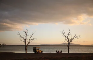 Game drive, Nyerere National Park, Tanzania