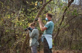 Chimpanzee photography safari, Mahale Mountains, Tanzania, Africa
