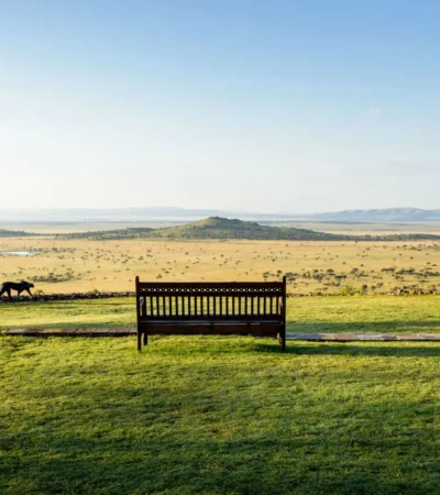 Scenic views, Grumeti, Serengeti, Tanzania, Africa