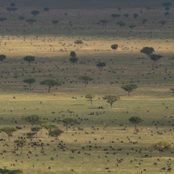 Grumeti views, Serengeti plains, Tanzania safari, Africa