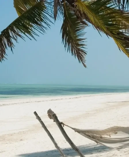 A net hammock swings beneath a palm tree on a white sand beach, Zanzibar Beach, Tanzania - Yellow Zebra Safaris