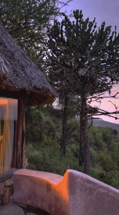borana lodge bedroom sunset