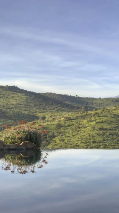 borana lodge pool
