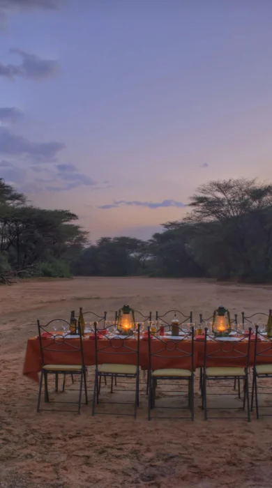 saruni samburu bush dinner kenya yellow zebra safaris
