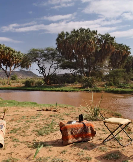 saruni samburu bush picnic kenya yellow zebra safaris