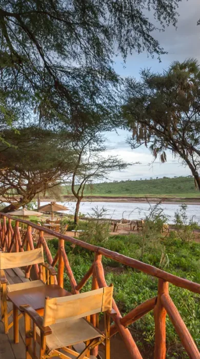 elephant bedroom camp decking view kenya yellow zebra safaris