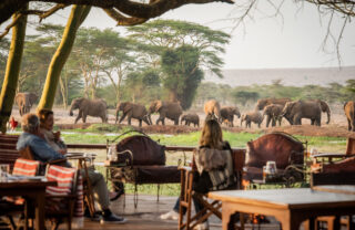 Guests sit in a communal area and watch elephants walk by the lodge, Sirikoi, Lewa Conservancy, Kenya - Yellow Zebra Safaris