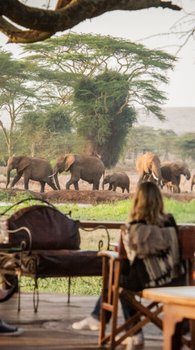 Guests sit in a communal area and watch elephants walk by the lodge, Sirikoi, Lewa Conservancy, Kenya - Yellow Zebra Safaris