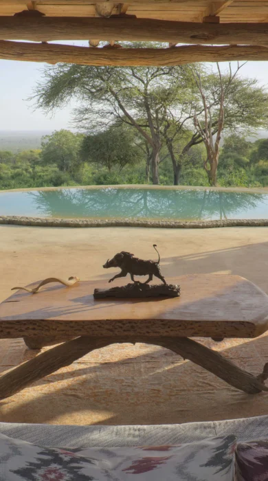 Sarara camp pool view kenya yellow zebra safaris