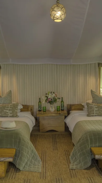 Twin Room, Naibor Camp, Maasai Mara Nature Reserve, Kenya
