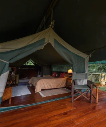 tent govenors private camp kenya