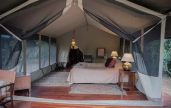 governors private camp bedroom area kenya yellow zebra safaris