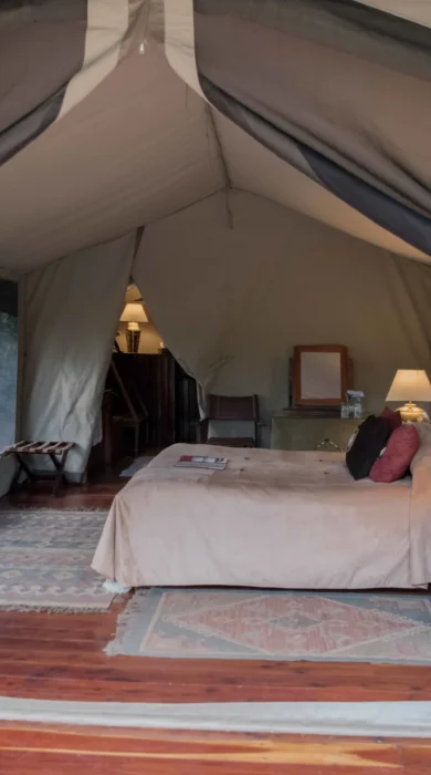 governors private camp bedroom area kenya yellow zebra safaris