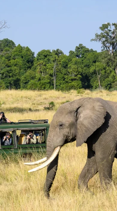 elephant safari govenors private camp kenya