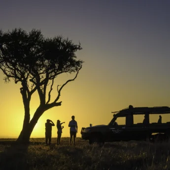 little governors sundowners kenya yellow zebra safaris
