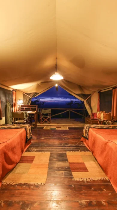 kilima camp twin room kenya yellow zebra safaris