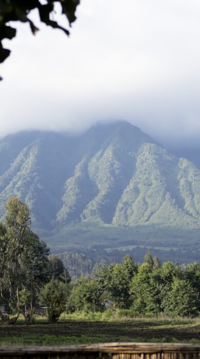 Volcano Sambora sits in the background amidst brooding clouds, Volcanoes National Park, Rwanda - Yellow Zebra Safaris