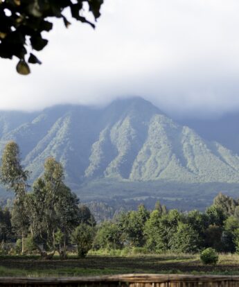 Volcano Sambora sits in the background amidst brooding clouds, Volcanoes National Park, Rwanda - Yellow Zebra Safaris