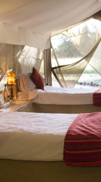 spekes camp twin room kenya yellow zebra safaris