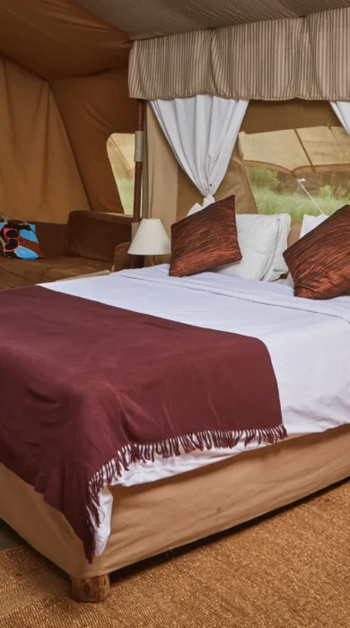 spekes camp double room kenya yellow zebra safaris