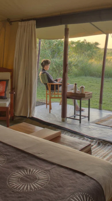 encounter mara tent view kenya yellow zebra safaris
