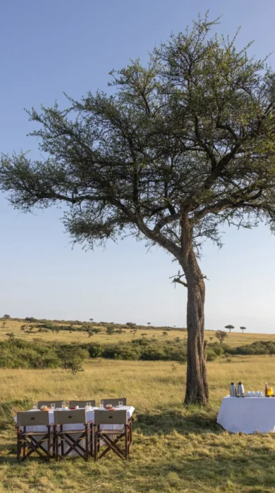 Bush Dining, Greater Mara, Saruni Eagle View, Kenya
