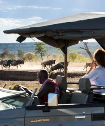 Game Drive, Greater Mara, Saruni Eagle View, Kenya