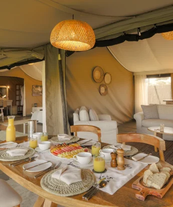 Family Suite, Kicheche Bush Camp, Greater Mara Conservancies, Kenya