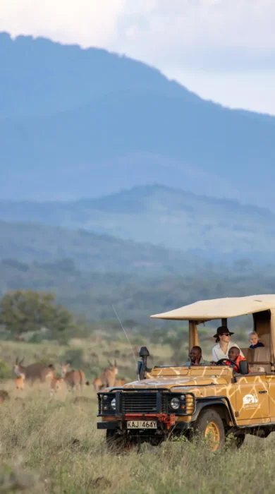 game drive, campi ya kanzi, chyulu hills, kenya