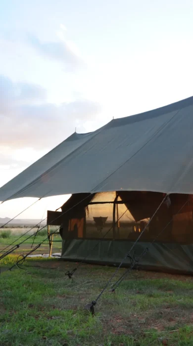 karisia walking safaris tent sunset yellow zebra safaris