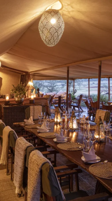 enasoit dining kenya yellow zebra safaris