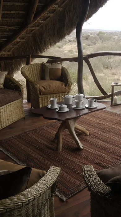 satao elarai viewing deck kenya yellow zebra safaris