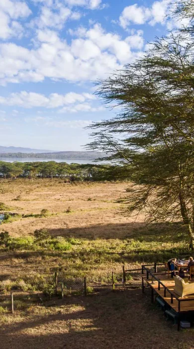 kiangazi house viewing deck kenya yellow zebra safaris