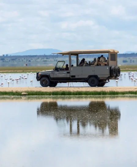Game Drive, Angama Amboseli, The Chyulu Hills, Kenya
