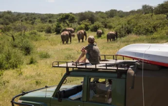 game drive, siruai mobile camp, laikipia, kenya