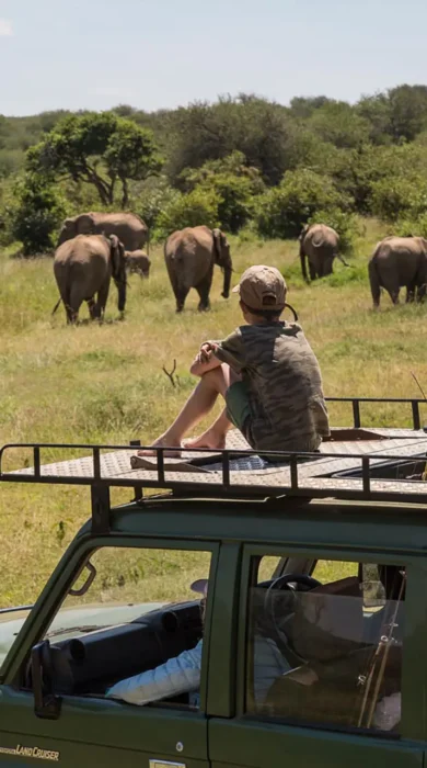 game drive, siruai mobile camp, laikipia, kenya
