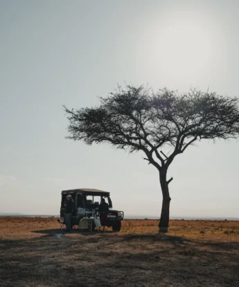 Game Drive, Roca River Camp, Maasai Mara, Kenya