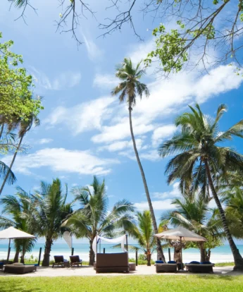 Almanara Beach 2