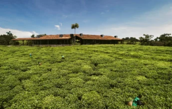 Drone resort