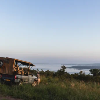 Game Drive, Magashi, Akagera National Park, Rwanda